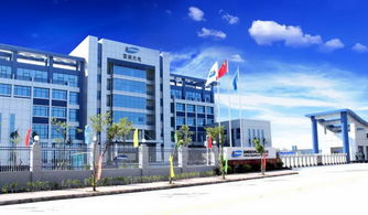 5g 8k,体验今年最火的概念,仲恺这家企业厉害了