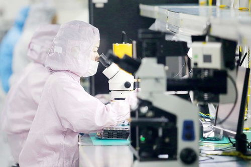 真刀真枪 搞改革 九洲集团迸发新活力